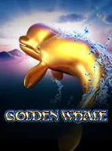 SPG_Golden Whale_1664869392